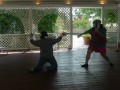 Fencing