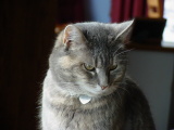 ItBitKit
