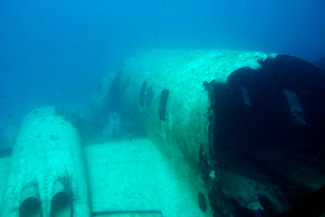 Sunken aircraft artificial reef